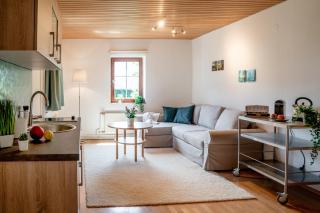 Lakeview Apartment - Hallstatt - 5