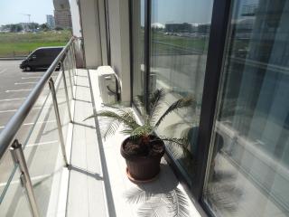 Sophia Residence - Mamaia - 2