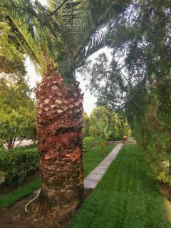 Le Palme di Riace 3 - Riace Marina - 9