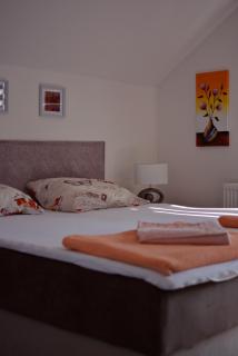 Apartmani Nikolic - Višegrad - 9