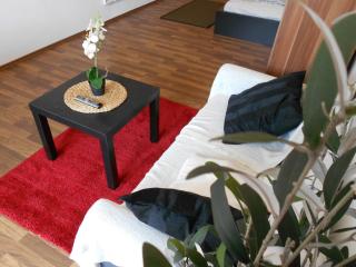 Apartment Beethoven - Ratisbona - 8
