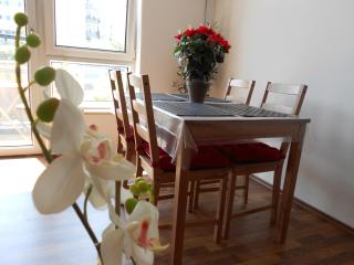 Apartment Beethoven - Ratisbona - 9