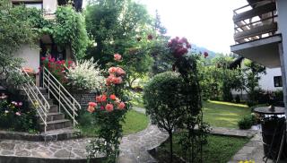Luylyana Guesthouse - Ribarica - 7