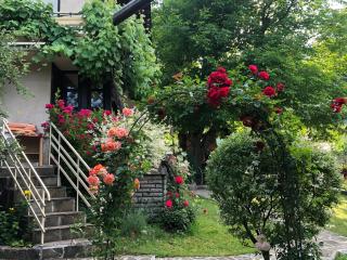 Luylyana Guesthouse - Ribarica - 6