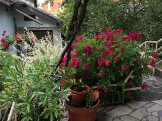 Luylyana Guesthouse - Ribarica - 5