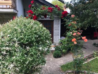 Luylyana Guesthouse - Ribarica - 4