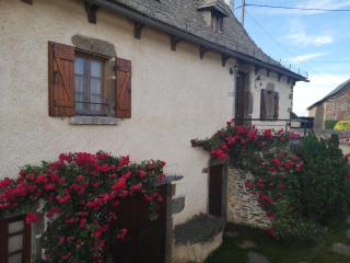 Maison tout confort calme vallée du Lot proche de Conques en Aveyron - 8