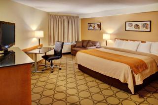 Comfort Inn Magnetic Hill - 4