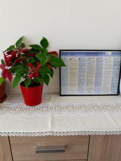 Apartmani Buba - Podstrana - 1