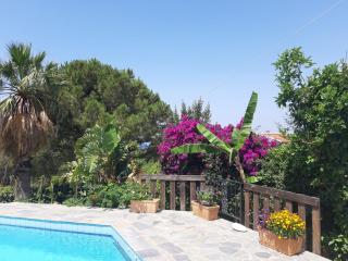 Villa Suites Lagonisi Luxury - Lagonissi - 8