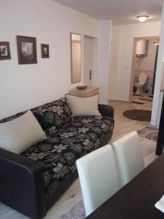 Stefan apartmani - Kopaonik - 4