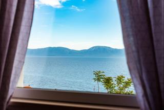 Sea star - Gradac - 3