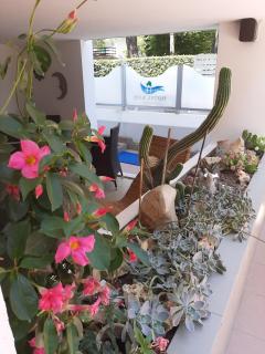 Hotel Kiss - Cesenatico - 5
