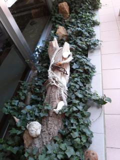 Hotel Kiss - Cesenatico - 3