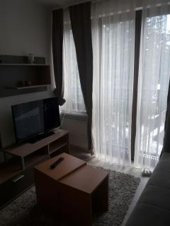 Stefan apartmani - Kopaonik - 8