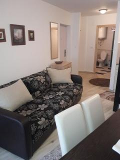 Stefan apartmani - Kopaonik - 5