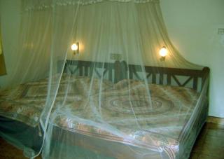 Palm Garden Home Stay - Kandy - 6