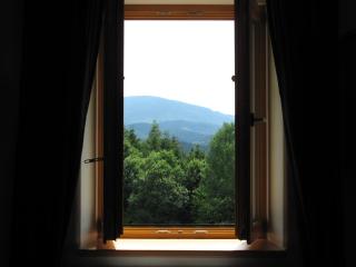 Apartmány na hájovně - Jeseník - 1