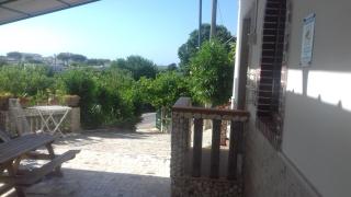 Casa delle Arance - Peschici - 9