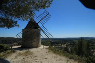 Les lavandes de Sèverine - Boulbon - 6