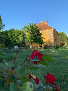 Alfred et George - Le Gîte - Sainpuits - 1