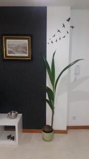 Appartement Espinho - Espinho - 6