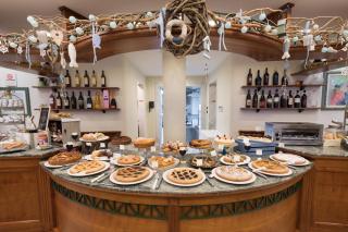 Hotel Villa Tiziana - 4