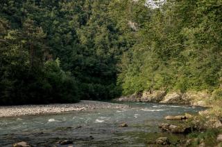 Forest Camping Mozirje - 1