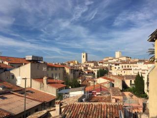 Magnifique Duplex Vieil Antibes - Antibes - 1