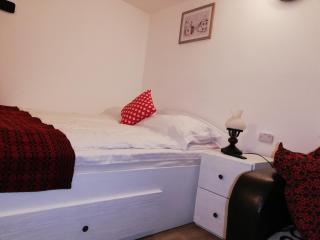 Republicii Rustic Apartament in Brașov City Center - 4