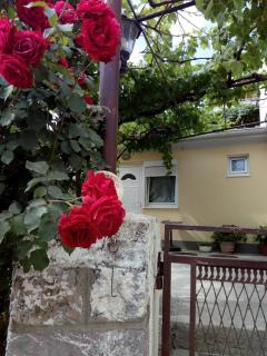 Apartman Lora - Budva - 7