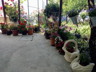 Apartman Lora - Budva - 6
