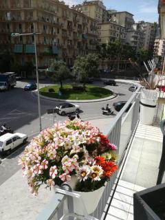 Edelweiss - Salerno - 7