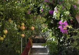 Apartments Dijana - 2