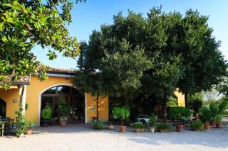 Agriturismo La Montina - Ponti Sul Mincio - 0