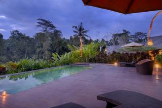 Villa Tegal Tis Ubud - Payangan - 3
