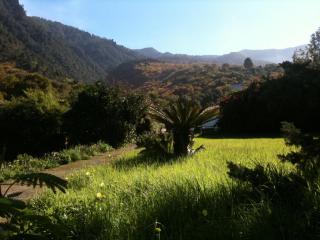 Finca La Hondura - La Orotava - 7
