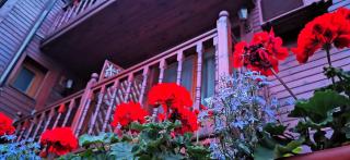 Hotel Albatros Old Town - Sosopol - 4