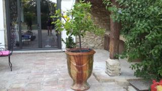 Le Mas des Cosme - Aramon - 8