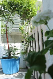 House Alexandros - Limenas - 8
