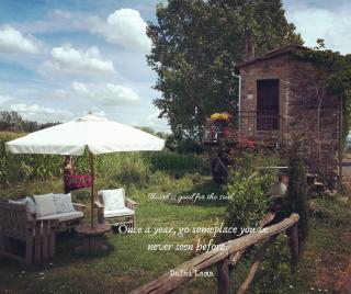 Podere Casina Rossa - Poppi - 8