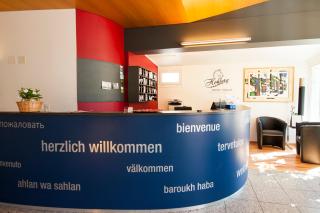 Hotel Hohberg "Next to BBC Arena" - Schaffhausen - 7