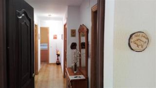 EL JABALÍ CONTENTO - 8