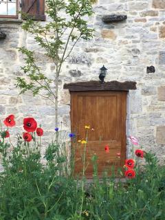 La Terralha - Saint-Pierre-Toirac - 9