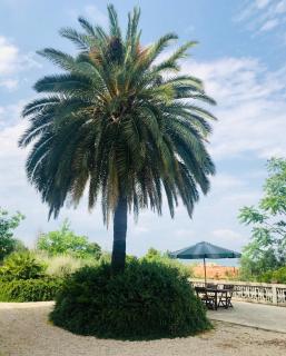 Villachiara - Silvi Marina - 6