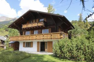Rose de Noël - Les Diablerets - 4