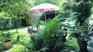 Takeshi Inn - Dambulla - 2