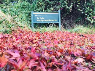 Te Puia Hot Springs Hotel - Te Puia - 8
