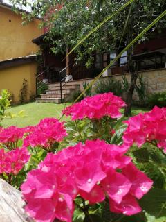 Casas los Cantores - Beloncio - 9