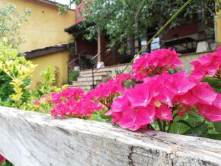 Casas los Cantores - Beloncio - 7
